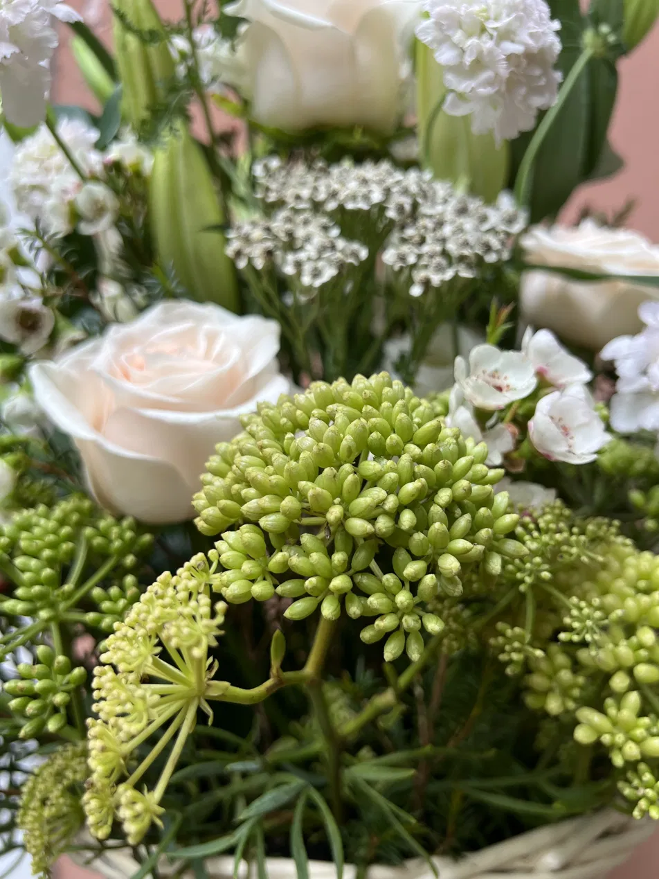 Criste marine, Crithmum maritimum, en verdurage de composition