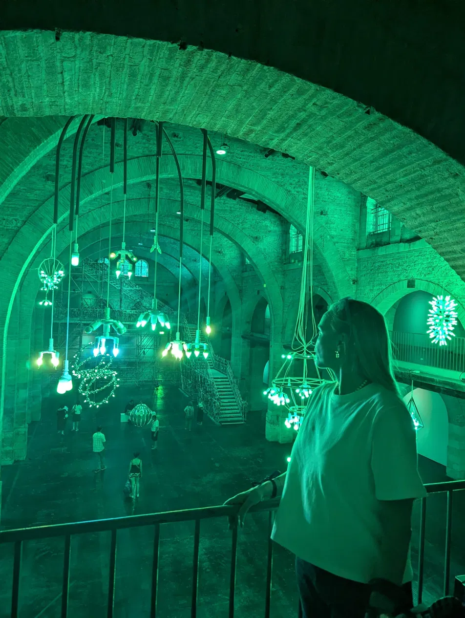 Jardin des neuf soleils, Trevor Yeung, CAPC Bordeaux